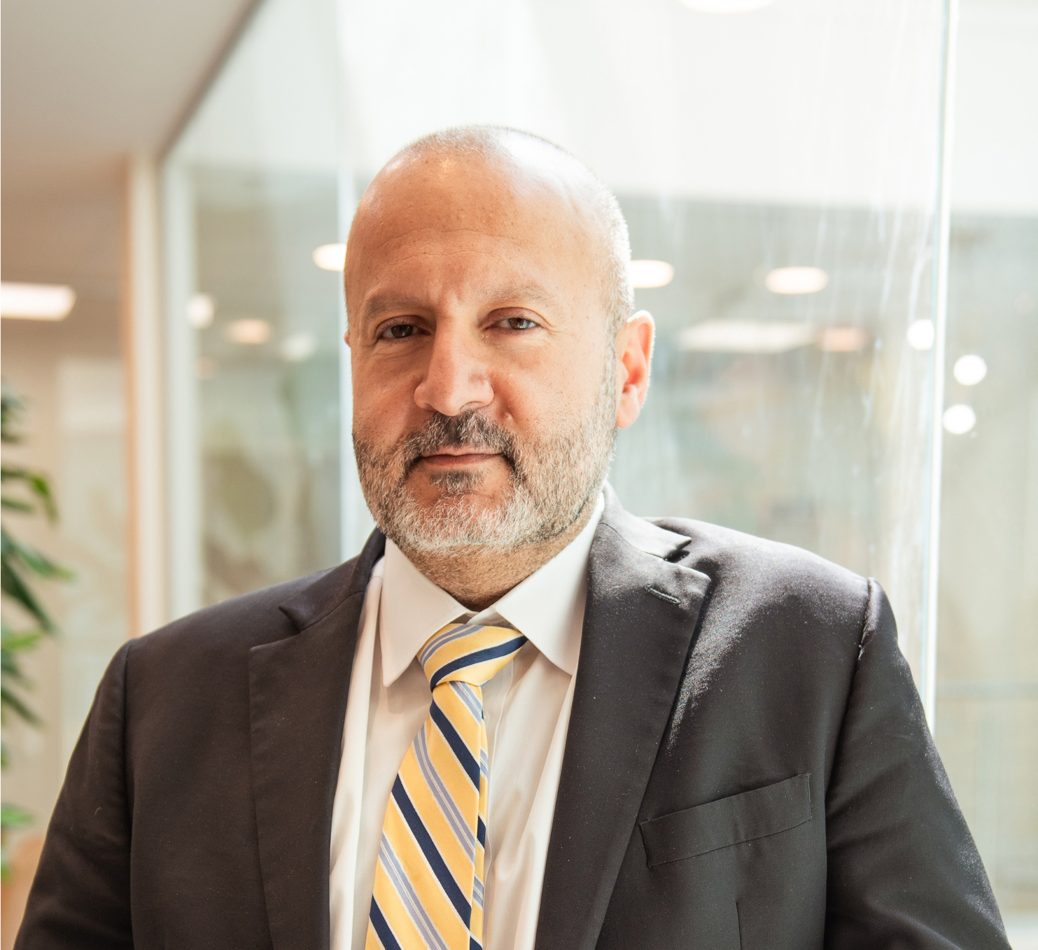 Professor Ali Ghoz